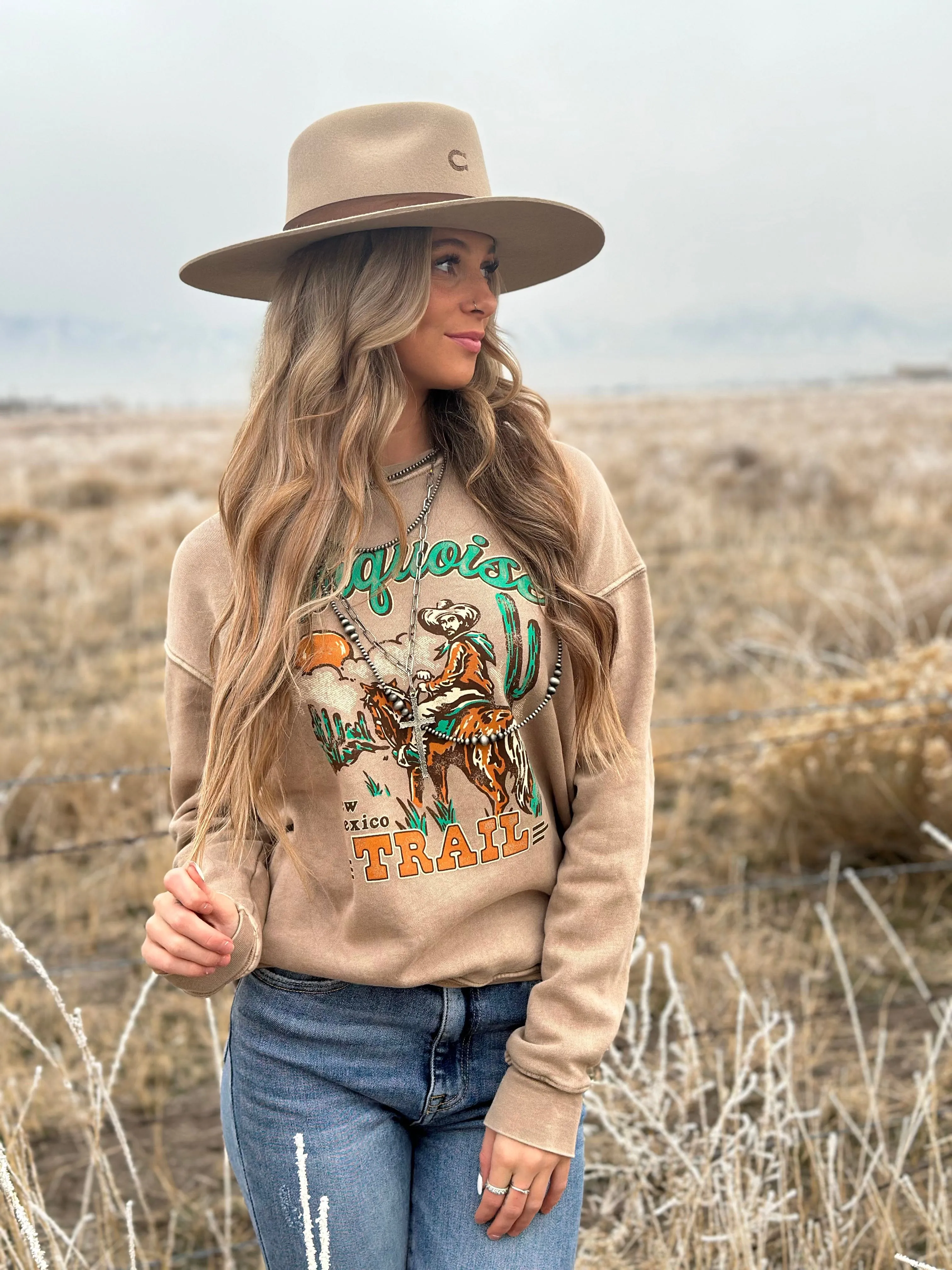 The Fall Turquoise Trail Sweatshirt