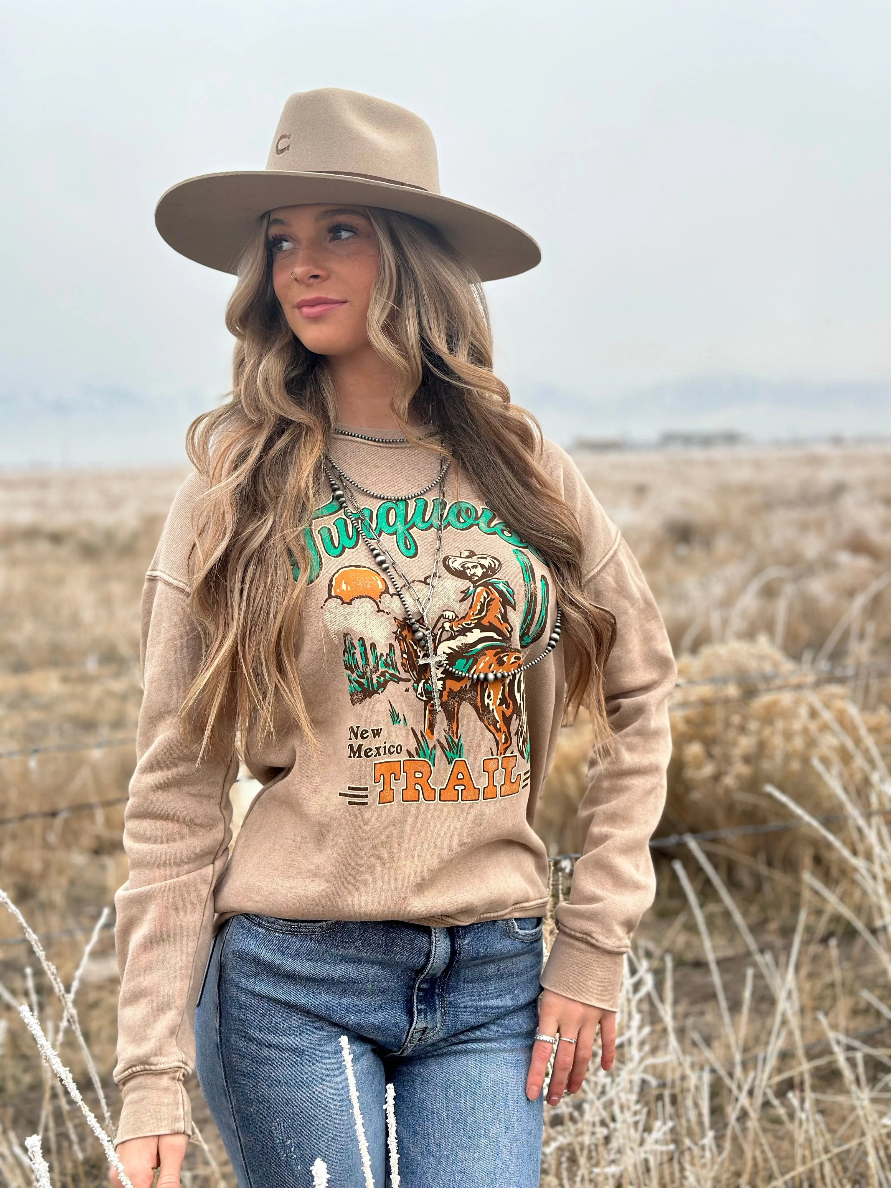 The Fall Turquoise Trail Sweatshirt